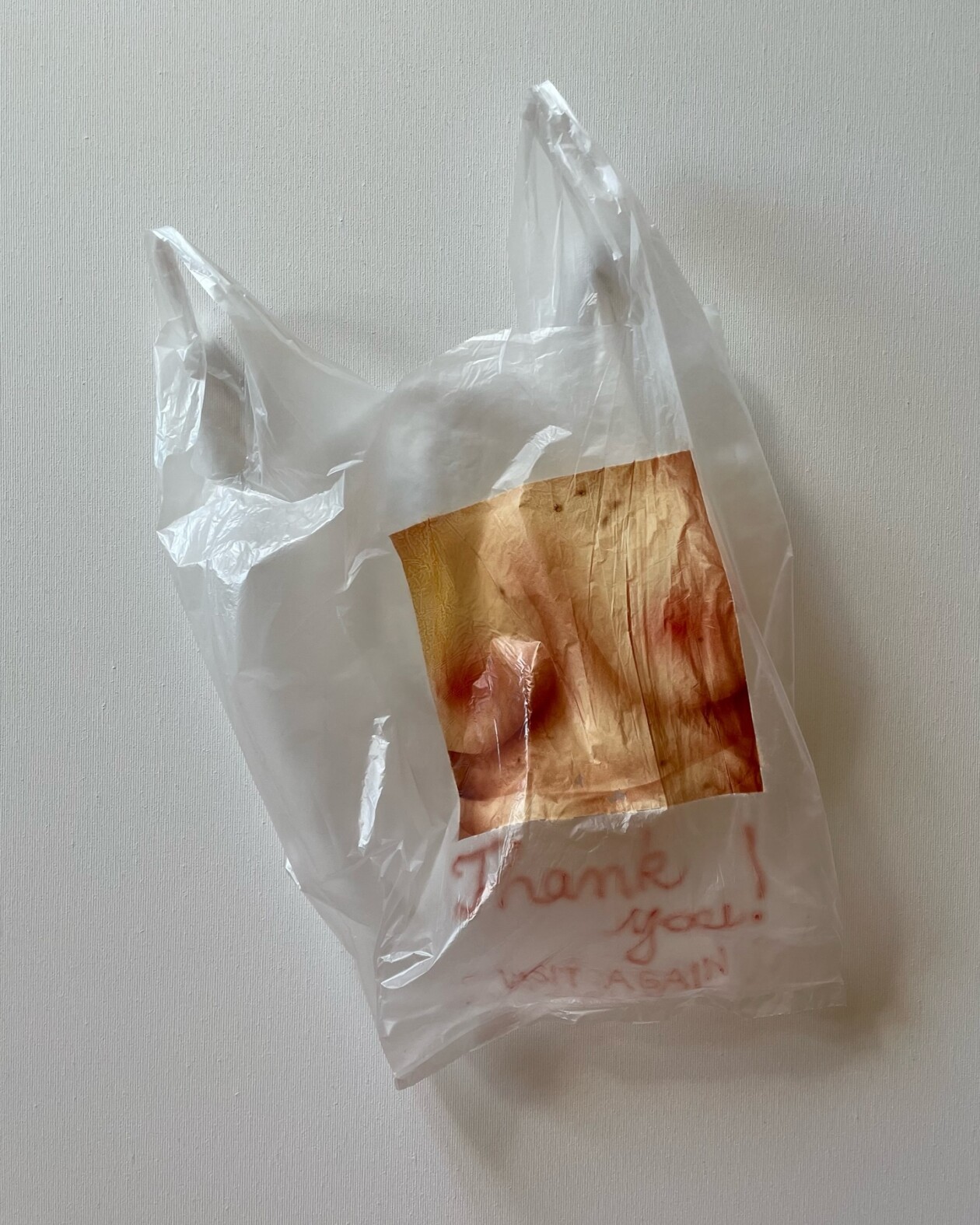 Helena Minginowicz Fragile Paintings On Disposable Materials (3)