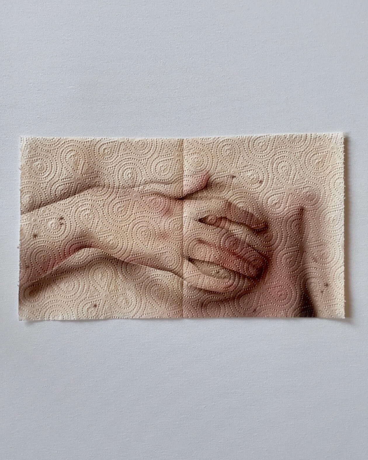 Helena Minginowicz Fragile Paintings On Disposable Materials (7)