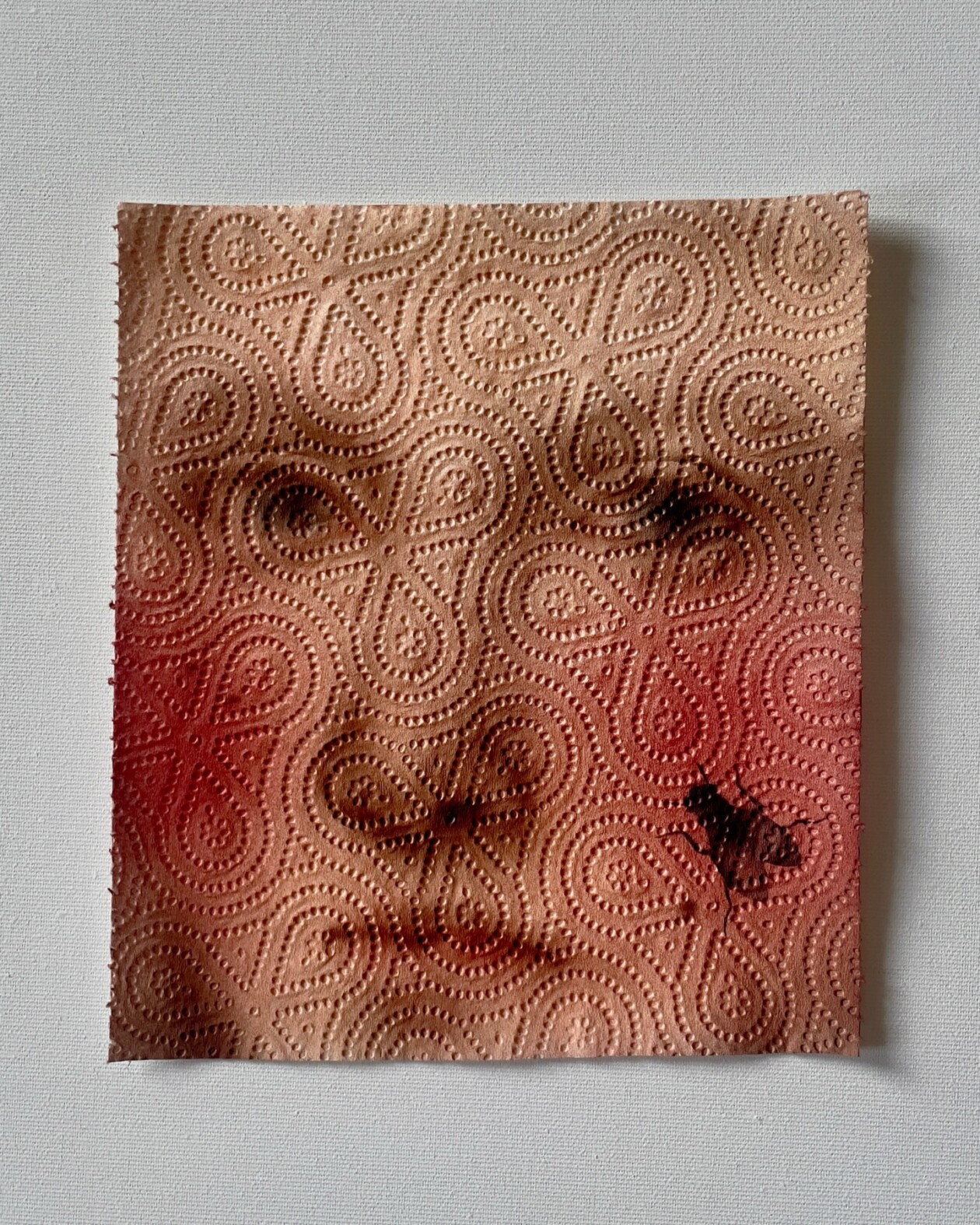Helena Minginowicz Fragile Paintings On Disposable Materials (8)